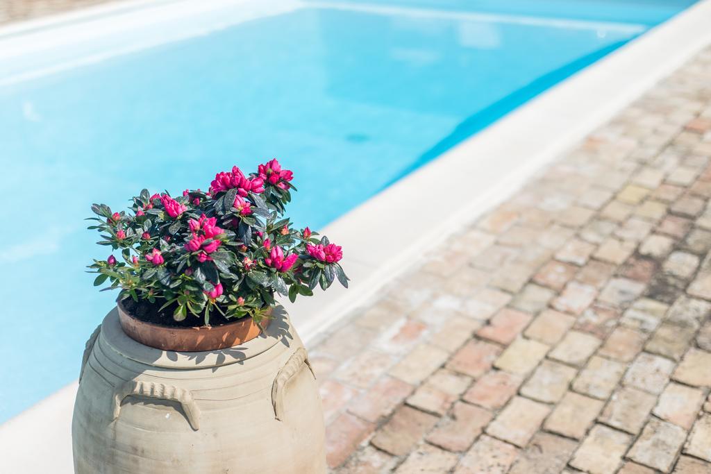 B&B Villa Casone Fossacesia Bagian luar foto